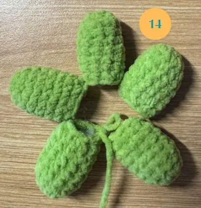 Five leaves