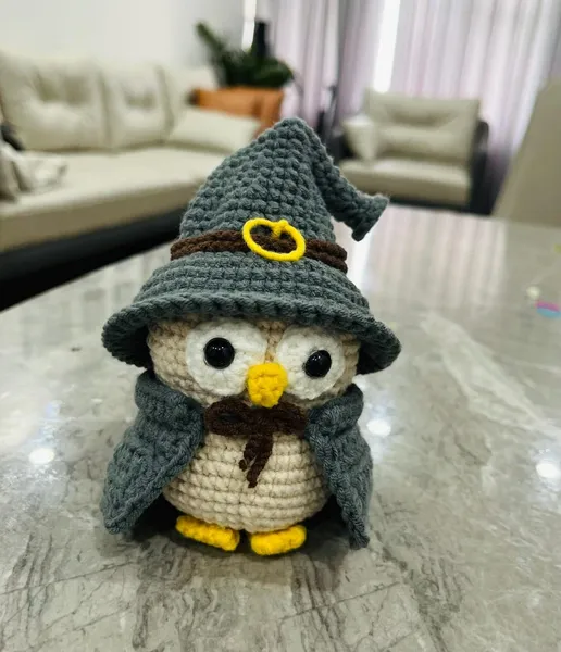 Handmade Crochet Wizard Owl & Witchy Crow – crochet owl