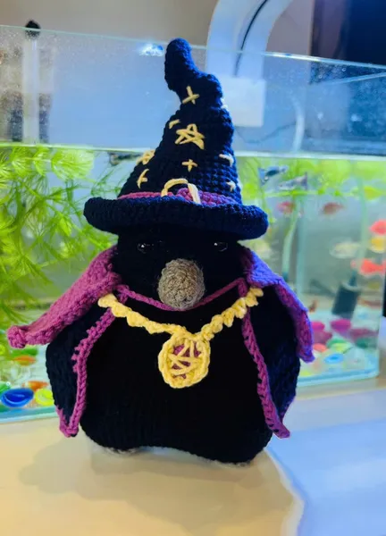 Handmade Crochet Wizard Owl & Witchy Crow – cute owl
