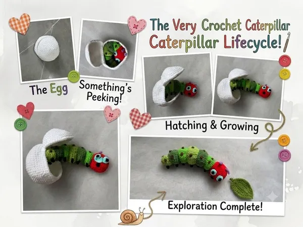 Hungry Caterpillar crochet Pattern – Butterfly Life Cycle – Toddler Play Set